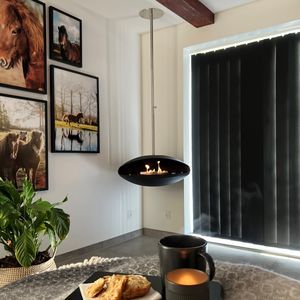 bioethanol fireplace