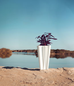 polyethylene plant pot