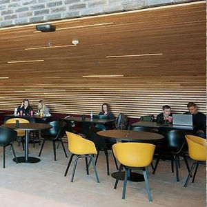 wooden suspended ceiling / tile / panel / strip