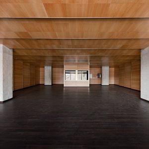 wooden suspended ceiling / panel / acoustic / flame-retardant