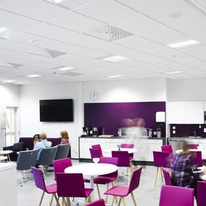 glass wool suspended ceiling
