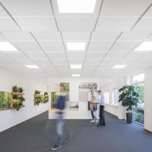 glass wool suspended ceiling