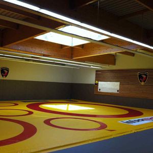 wrestling mat