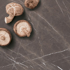 porcelain stoneware countertop 1