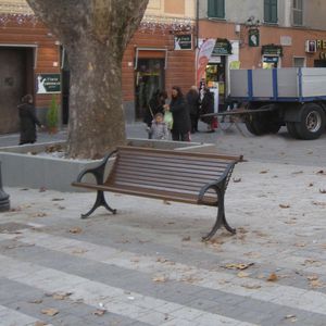 public bench / traditional / hardwood / cast iron