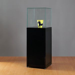 contemporary display case