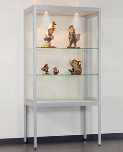contemporary display case