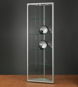 contemporary display case