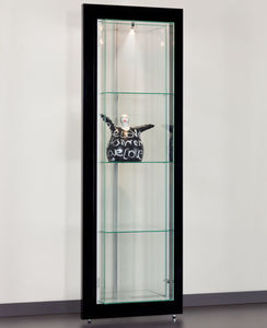 contemporary display case