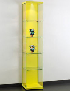 contemporary display case