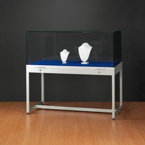 contemporary display case
