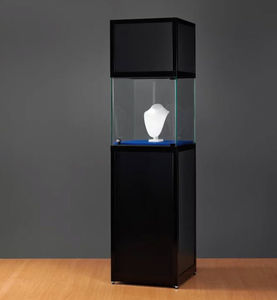 contemporary display case