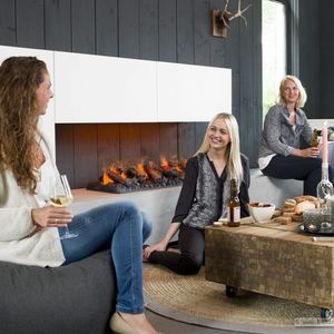 central fireplace insert