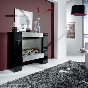 bioethanol fireplace