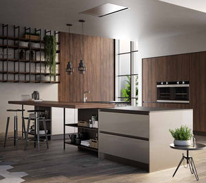 contemporary kitchen