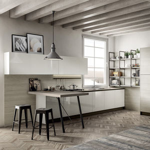contemporary kitchen