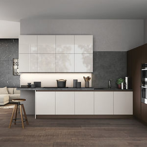 contemporary kitchen
