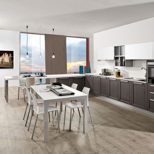 contemporary kitchen