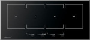 induction cooktop 1