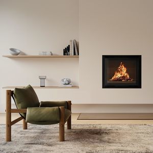 wood-burning fireplace insert