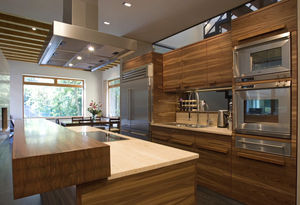 contemporary kitchen