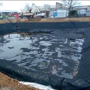 elastomeric geomembrane