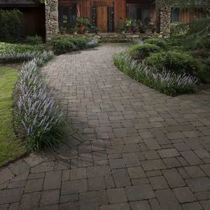 Concrete paved outside the Pedestrian Chatto Nethouse