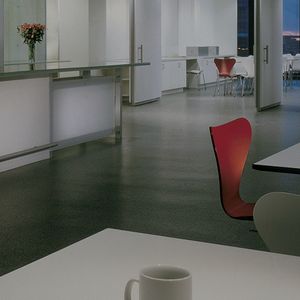 rubber flooring / non-slip / sound-absorbing / for healthcare facilities