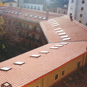 french roof tile / clay