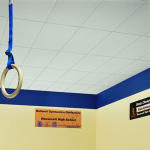 mineral fiber suspended ceiling