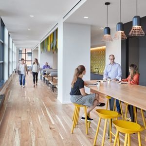 wooden suspended ceiling