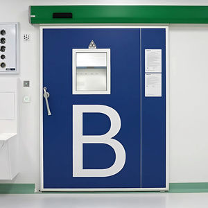 entry door 1
