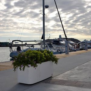 concrete planter 1
