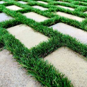 concrete grass paver