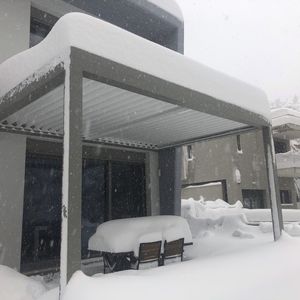 wall-mounted pergola