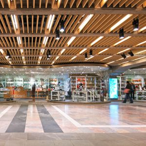 wooden suspended ceiling