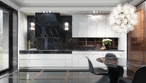 contemporary kitchen