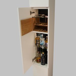 professional cigar cabinet