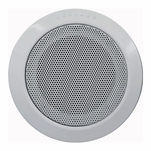 ceiling-mounted speaker