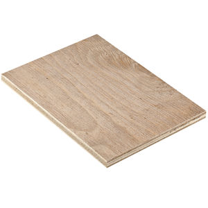 construction plywood panel