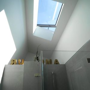 metal roof window