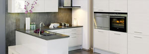 contemporary kitchen