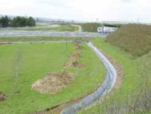 drainage waterproofing membrane / street / roll / composite
