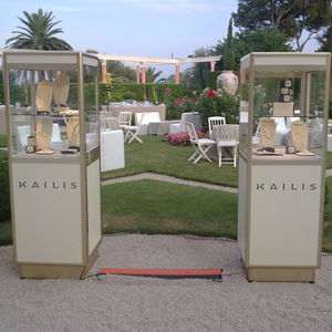 contemporary display case