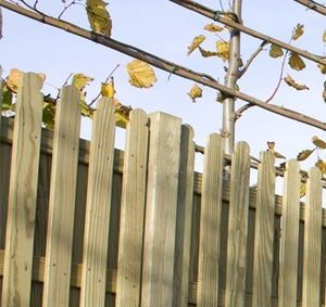 fence post