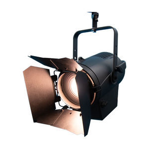 IP20 Fresnel light