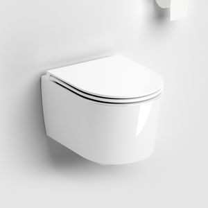 wall-hung toilet