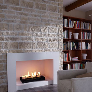 bioethanol fireplace insert