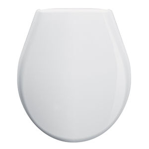 thermoplastic toilet seat