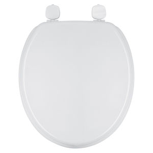 antibacterial toilet seat